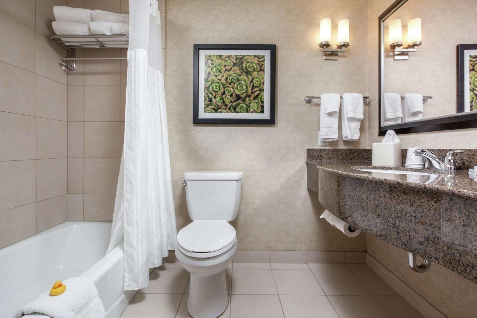 Hotel Hilton Garden